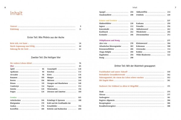 Medical Food: Warum Obst und Gemüse als Heilmittel potenter sind als jedes Medikament